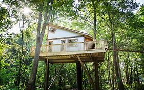 The Mohicans Ohio